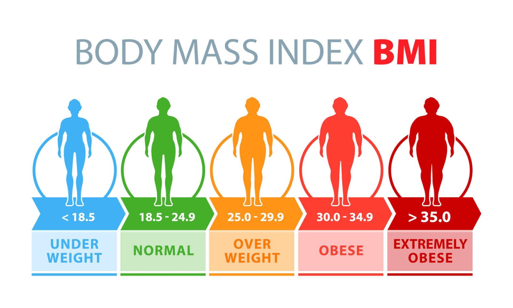 BMI (Body Mass Index): What It Is & How To Calculate